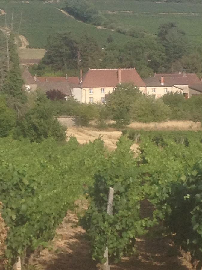 Bed and breakfast Le Logis D'Azé Extérieur photo